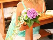 img_9747 img_9747