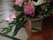 img_2764 img_2764